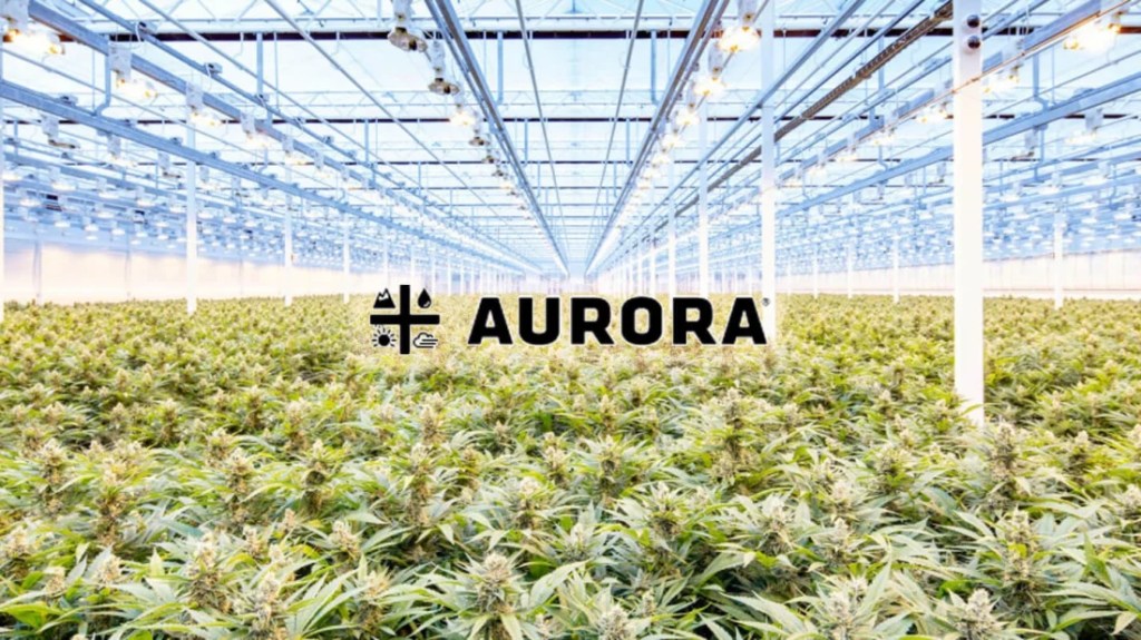 EWC Acquires 51% Stake in Aurora Cannabis Inc. from Amplify Education,&nbsp;Inc.