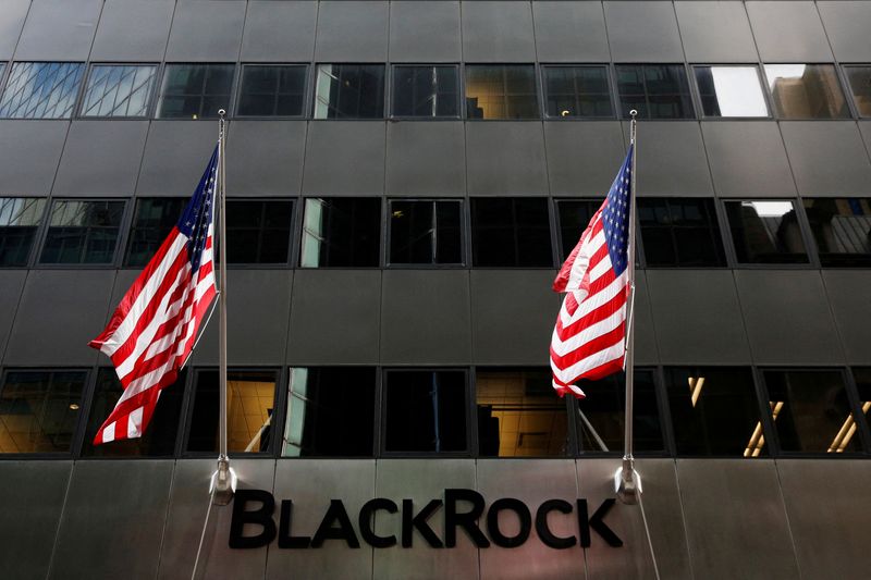 Bank regulator gives BlackRock January deadline on bank&nbsp;stakes